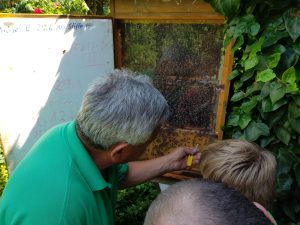 Jugendgruppe beim Bienenhof